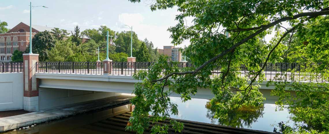 Farm Lane Bridge from pedestrian bridge framed by branches