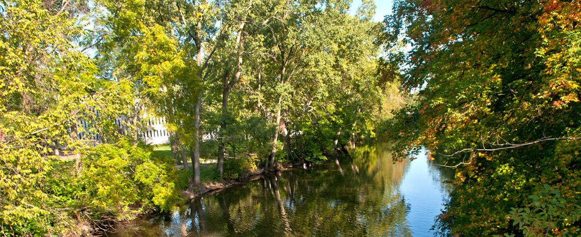 Photo of portion of the Red Cedar River