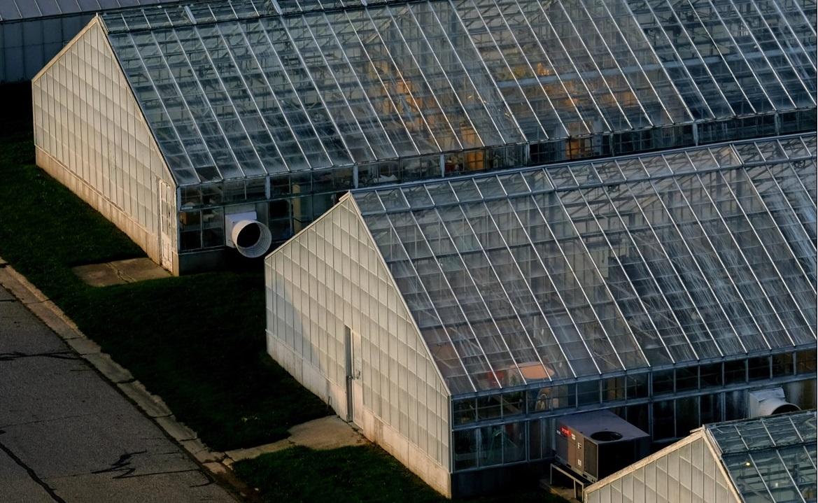 MSU Greenhouses aerial photo